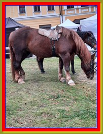 Svatý Martin se ztratil